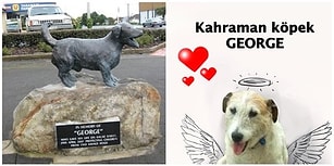 Saldırı Altındaki Çocukları Savunmak Uğruna Canından Olan Kahraman Köpek George'un Heykeli Dikildi!