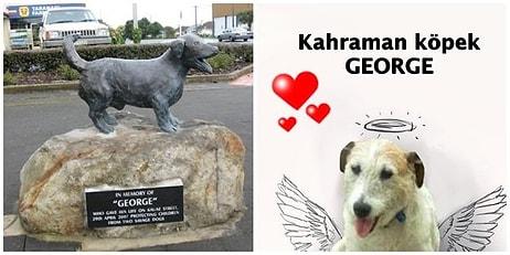 Saldırı Altındaki Çocukları Savunmak Uğruna Canından Olan Kahraman Köpek George'un Heykeli Dikildi!