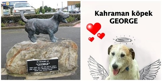 Saldırı Altındaki Çocukları Savunmak Uğruna Canından Olan Kahraman Köpek George'un Heykeli Dikildi!