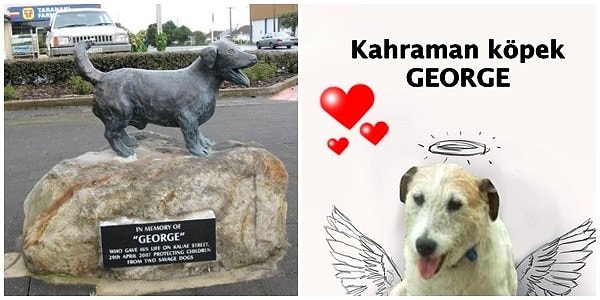 Bir cins, sadece bir cevher veya bir köpek değil, başka bir şey Bir cins, sadece bir cevher veya bir köpek değil, başka bir şey
