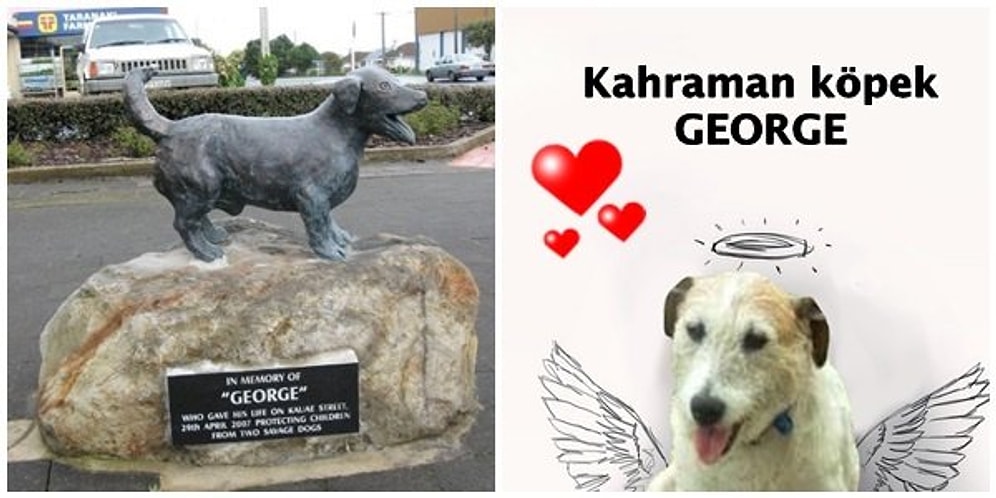 Saldırı Altındaki Çocukları Savunmak Uğruna Canından Olan Kahraman Köpek George'un Heykeli Dikildi!