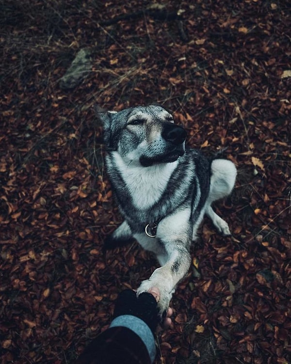 8. Осени и весне...