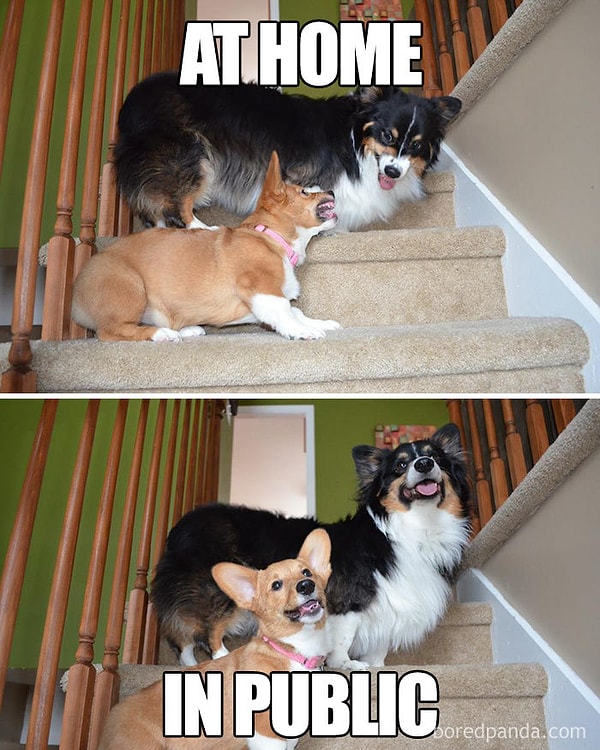 9. Дома / на публике