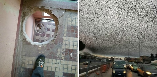 19 тревожных фото, досмотреть которые смогут лишь люди с нервами-канатами