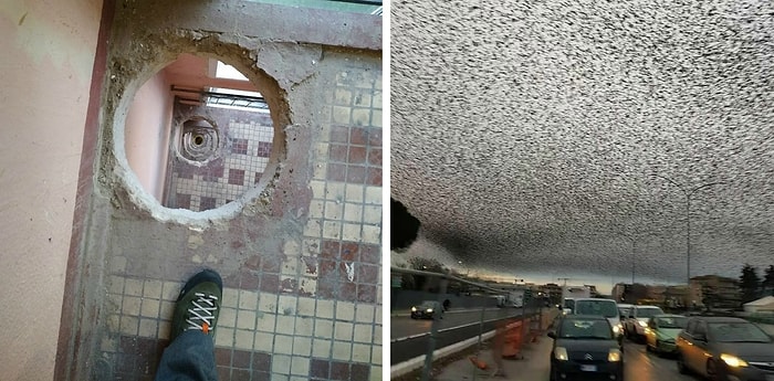 19 тревожных фото, досмотреть которые смогут лишь люди с нервами-канатами