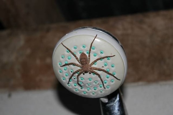 18. Пожалуй, лучше походить грязным