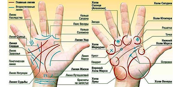 5. Какое из этих описаний характеризует вашу линию сердца?