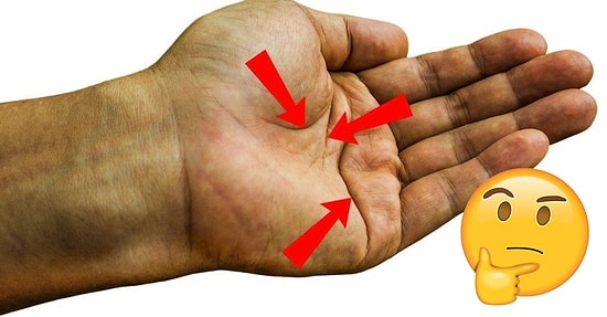 Хиромантический тест: Линии на руке расскажут, что ждёт вас в будущем