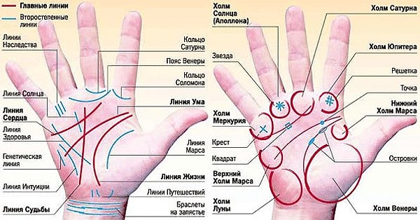 8. А где у вас заканчивается линия судьбы?