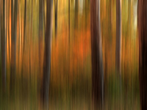 10. И последнее: что вы тут увидели?