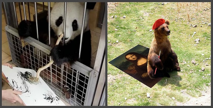 Когда панда, свинья и мишка зарабатывают больше тебя, или Новые художники в мире живописи