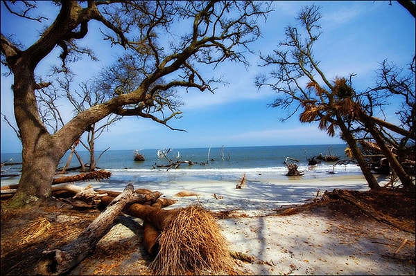 5. В честь кого получили свои названия американские штаты Южная и Северная Каролина?