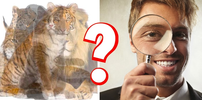 Тест: выберите, что вы увидели на картинках первым делом, а мы расскажем, что портит вашу жизнь