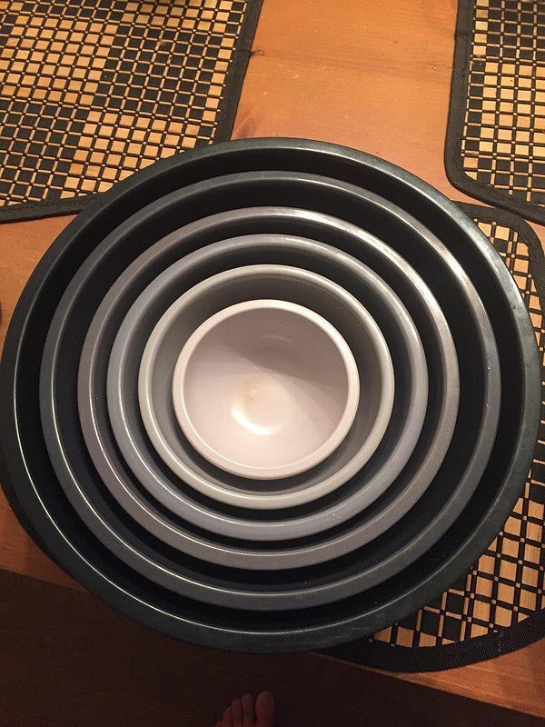 7. Гипноз какой-то!