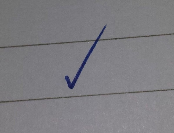 20. Пожалуй, это лучшая птичка, которую вы видели