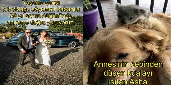 Hayatlarındaki En Önemli Anları Fotoğraflamış 16 Kişi ve Onların İçe Dokunan Hikayeleri