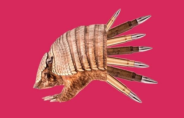 4. А щит броненосца пуленепробиваемый.