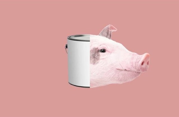 8. Раньше масляные краски хранили в мешочках, сделанных из свиных мочевых пузырей.