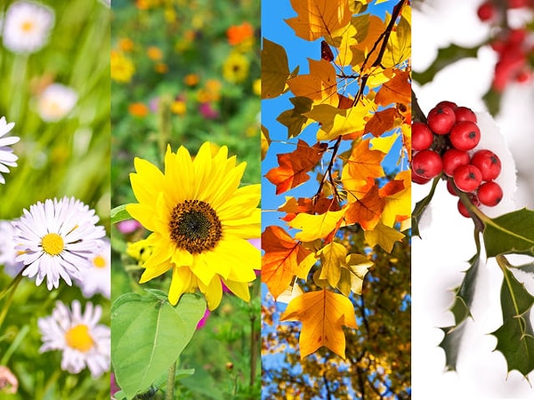 6. В какое время года вы родились?