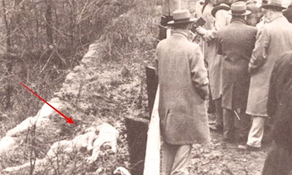 В январе 1957 года поступила новость из штата Иллинойс.