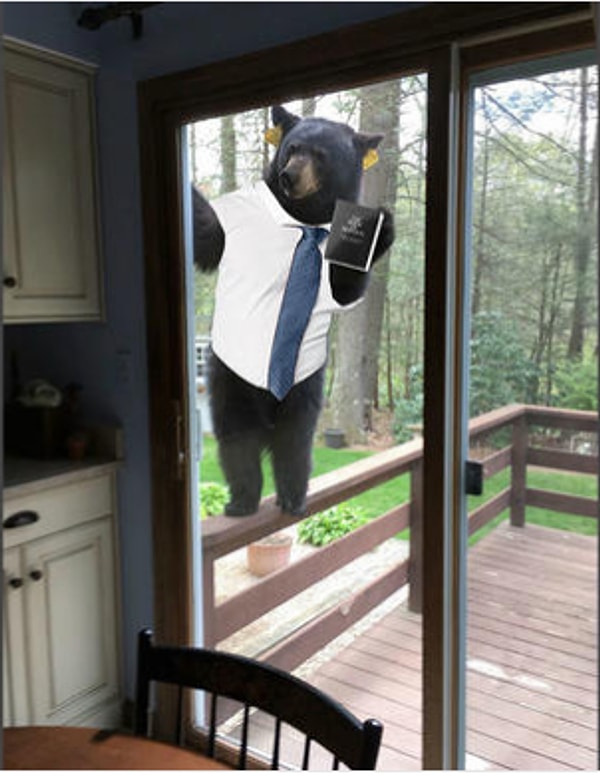 ...в очень дружелюбного мормона*