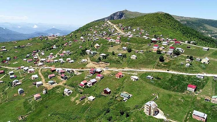 Yaylalarda Adım Atacak Yer Kalmadı: İmar Barışı Sayesinde Karadeniz'in Yeni Bitki Örtüsü 'Beton'