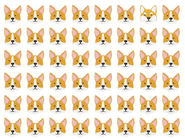 6. Вы знаете, что делать