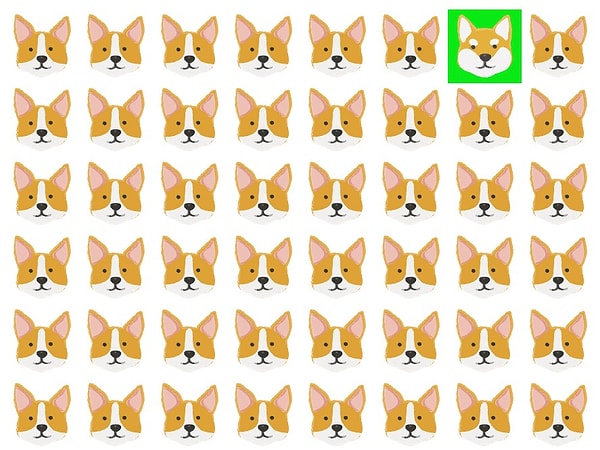 Посмотреть ответ: