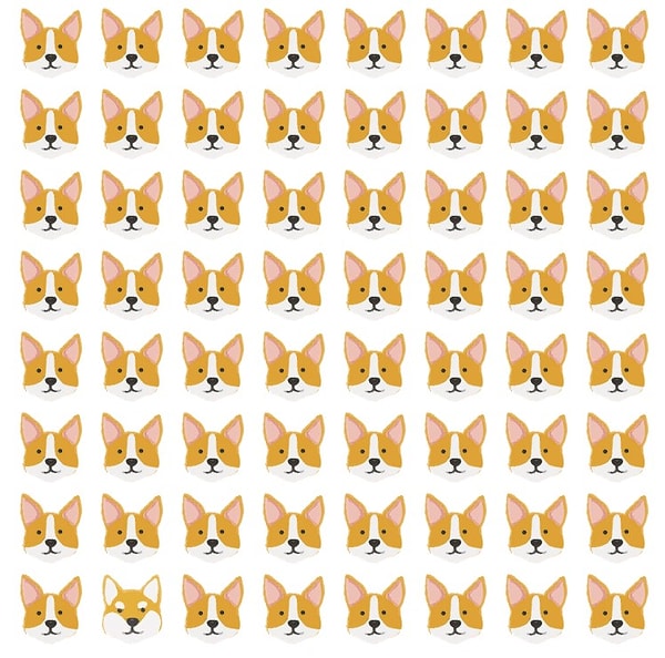 9. Еще чуть-чуть!