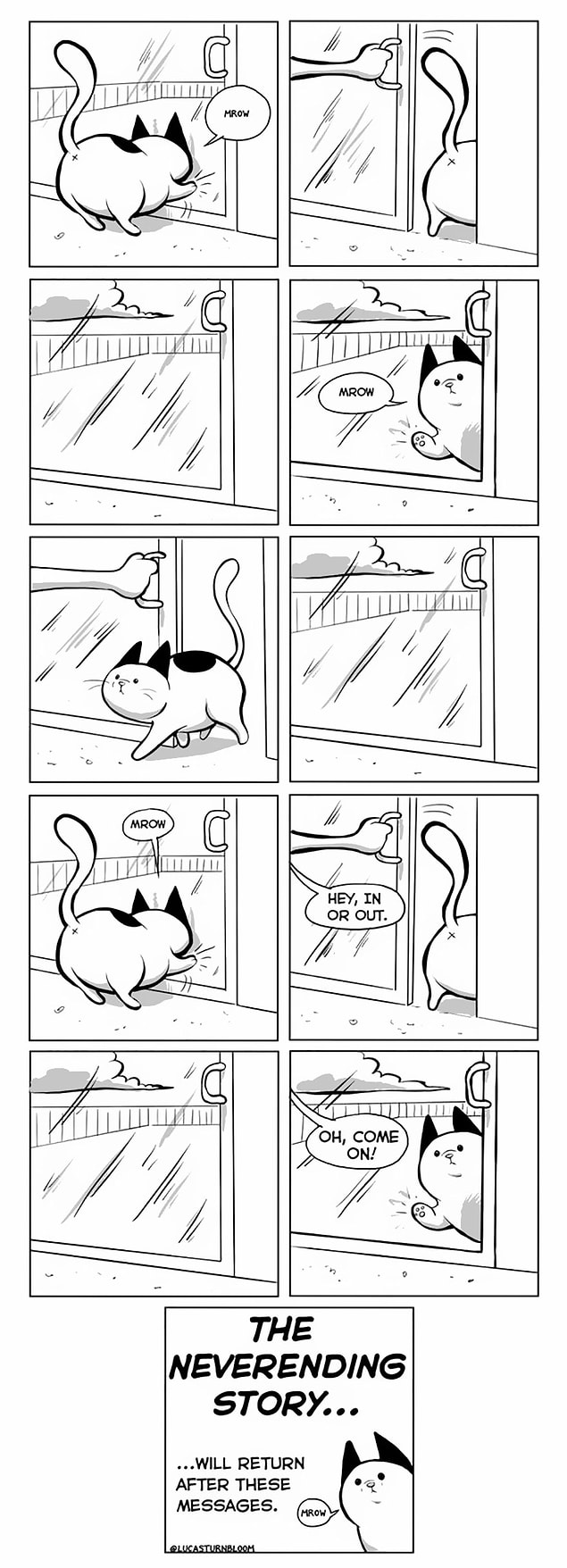 7. You should be patient if you have kitty...