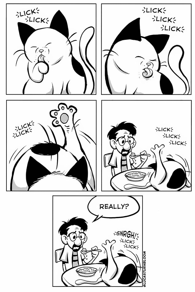 8. They can lick themselves wherever they want, you cannot meddle.