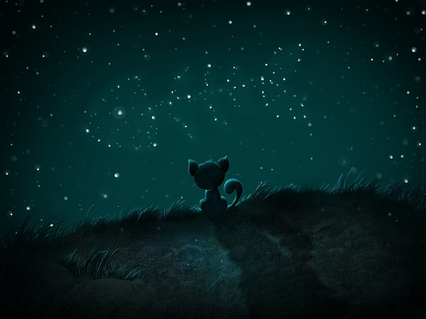 Вы мечтатель