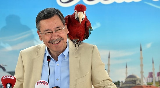 MHP'den Yerel Seçim Bombası: 'Melih Gökçek'i Ankara İçin Düşünüyoruz'