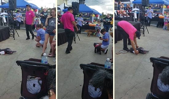 Kurmalı Fil Oyuncağı Kostümüyle Etrafa Neşe Saçan Köpek