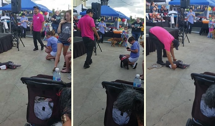 Kurmalı Fil Oyuncağı Kostümüyle Etrafa Neşe Saçan Köpek