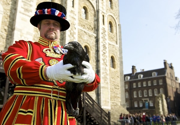 9. Londra Kulesi'nde "kuzgun ustası" olarak çalışan insanlar var!