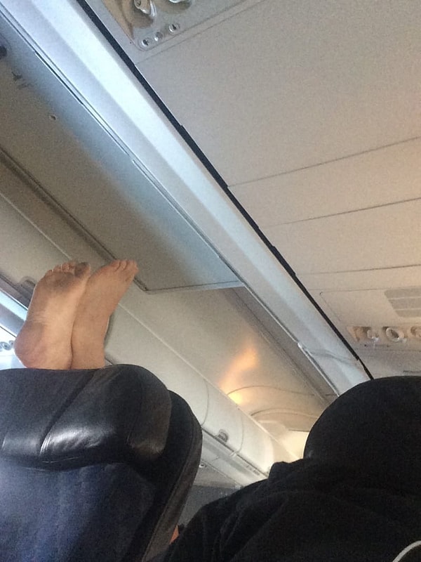 14. ПОВЕДЕНИЕ...