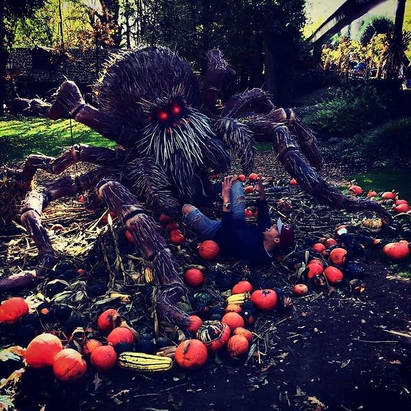 12. Борьба за тыковки. 🎃