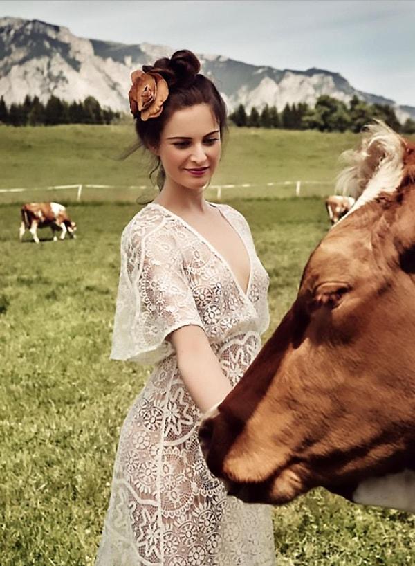 Bavaria'da inek beslemek de oldukça ünlü, fotoğrafta ise genç ve güzel bir kadın inek besliyor.