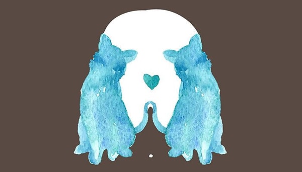 Итак, кого вы увидели первым?