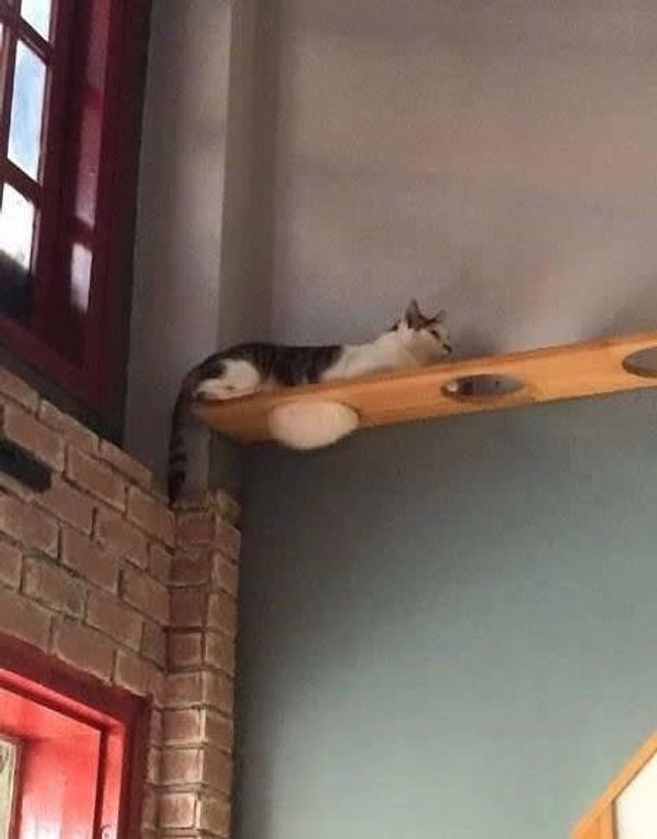 8. Они все немного стекают...