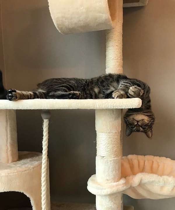 9. И капают 😃😃😃