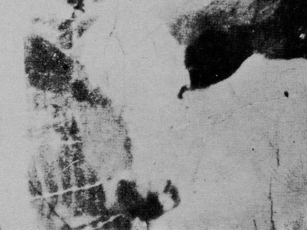 2. Заметили ли вы на этом рисунке хоть что-нибудь?