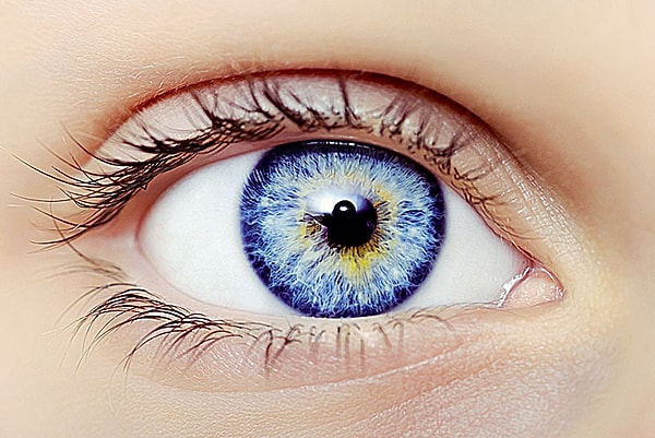 Вы воспринимаете этот мир, как обычный среднестатистический человек!