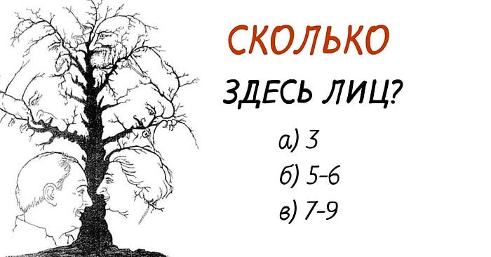 Тест на взаимосвязь зрения и мозга: Адекватно ли ваше восприятие реальности?