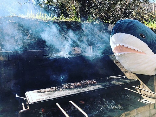 8. Кроме того, она большая, мягкая и...