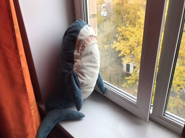 12. Сидеть у окна, готовить на кухне и работать на компьютере!