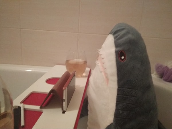 13. В общем, у "Блохэй" есть все шансы стать членом семьи.