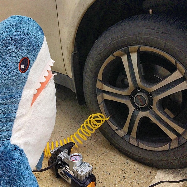 14. А популярным мемом она и так уже стала :D