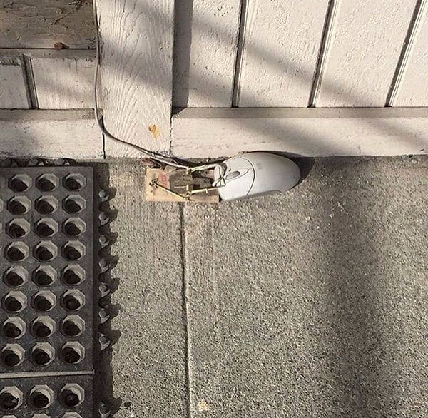 11. Ура! Поймал!